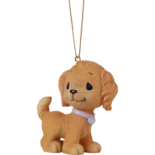 Dont Stop Retrievin Golden Retriever Ornament