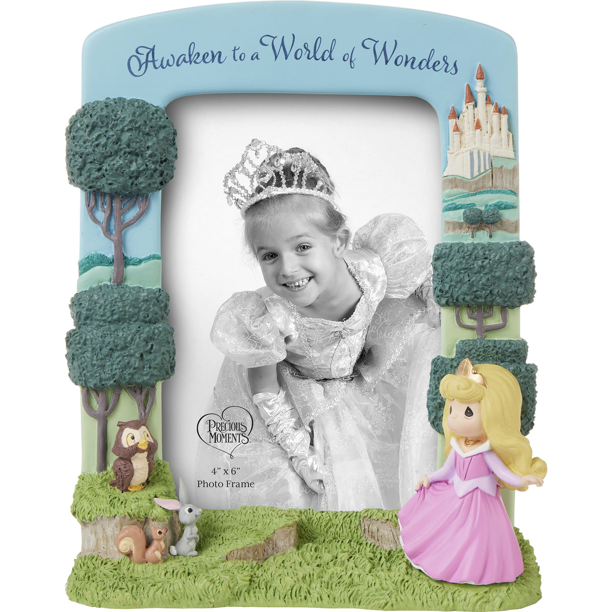 Awaken To A World Of Wonders Disney Sleeping Beauty Photo Frame