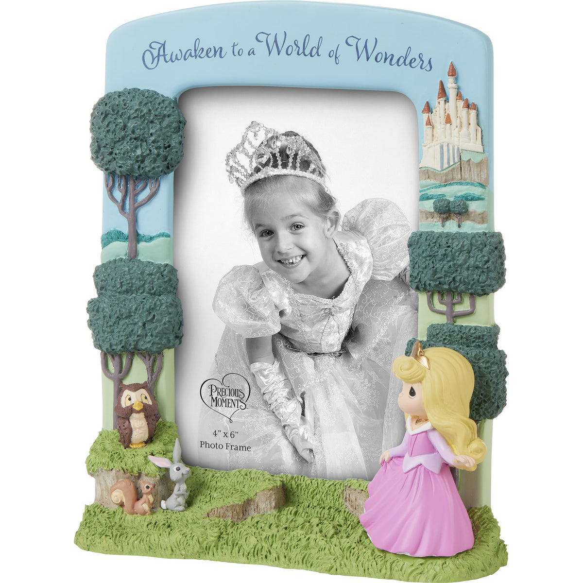 Awaken To A World Of Wonders Disney Sleeping Beauty Photo Frame