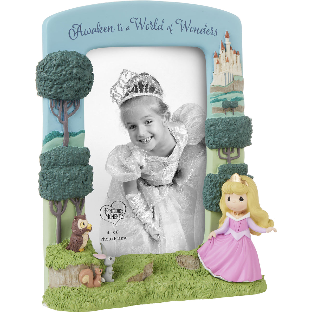 Awaken To A World Of Wonders Disney Sleeping Beauty Photo Frame