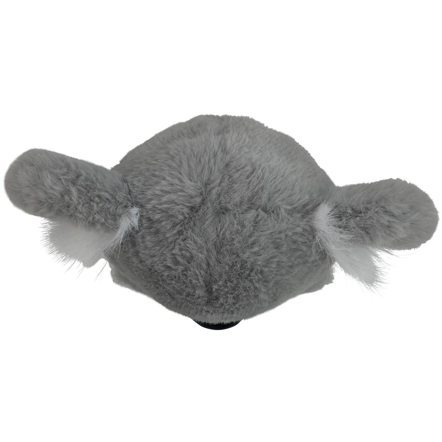Kolla Koala Cutie Pet-tudies Stuffed  Animal