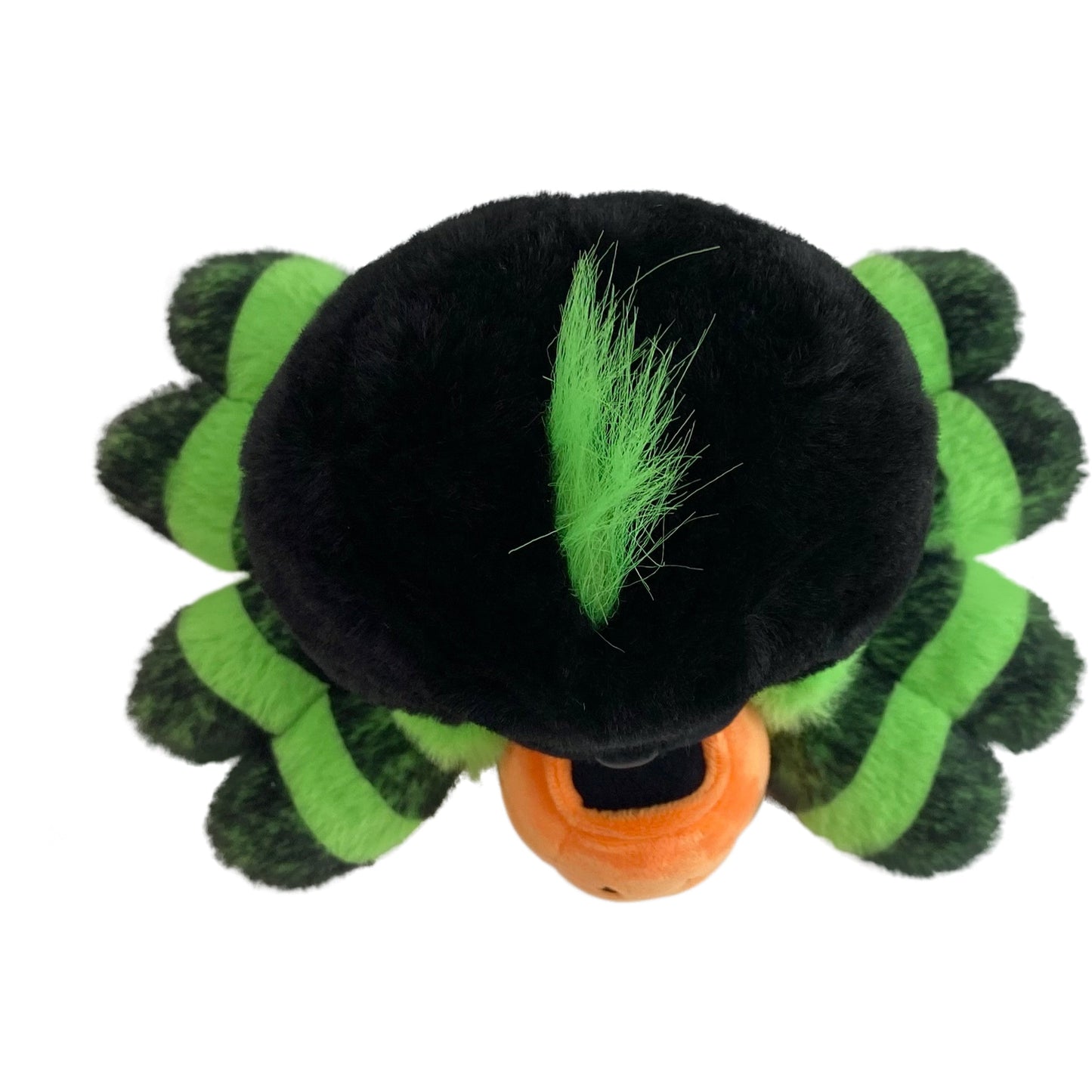 Harry Spider