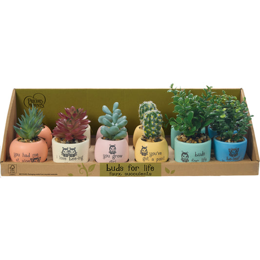 12 PIECE FAUX SUCCULENTS