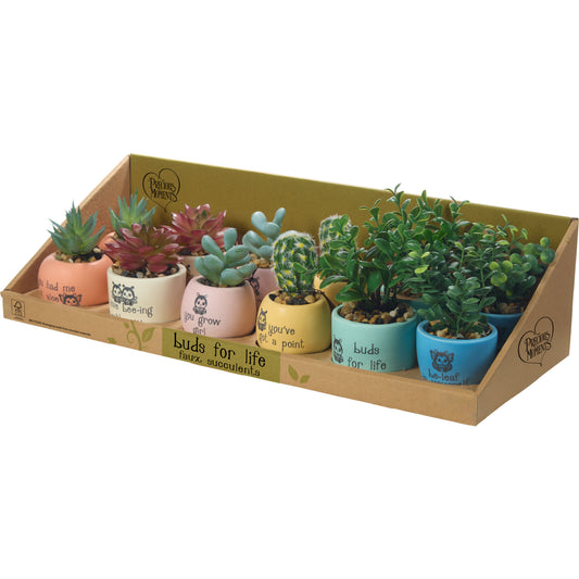 12 PIECE FAUX SUCCULENTS