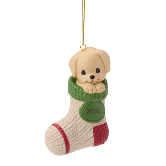 Paw-fectly Cozy Christmas 2026 Dated Dog Ornament