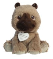 Caleb Capybara Stuffed Animal